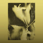 Flying Lotus/1983 [LP]