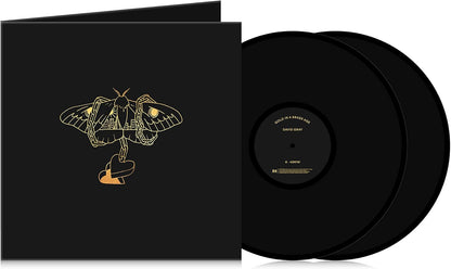Gray, David/Gold In A Brass Age [LP]