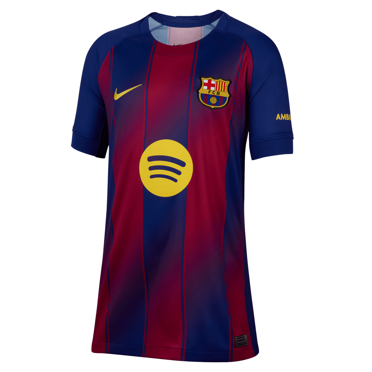 Nike Youth Barcelona Home Stadium Jersey 25/26