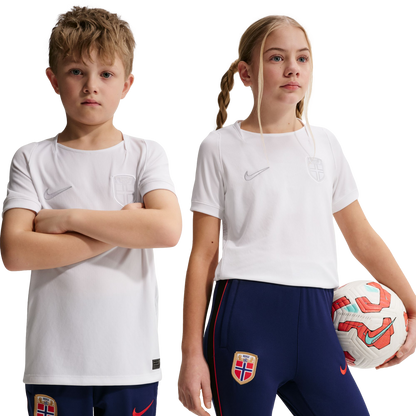 Nike Norway 2026 Youth Third Jersey