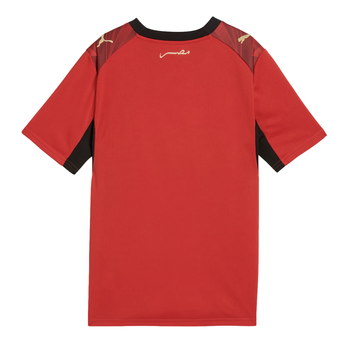 Puma Egypt 2026 Youth Home Jersey